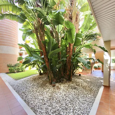 Mediterranean Way - Mediterraneo 411